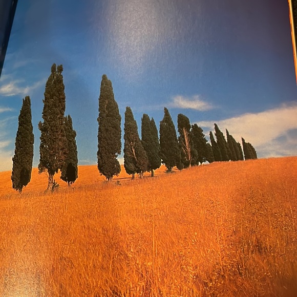 Frances Mayes “InTuscany” A Table, Picture, Travel, Story, Recipe Book. The Best - Picture 7 of 16